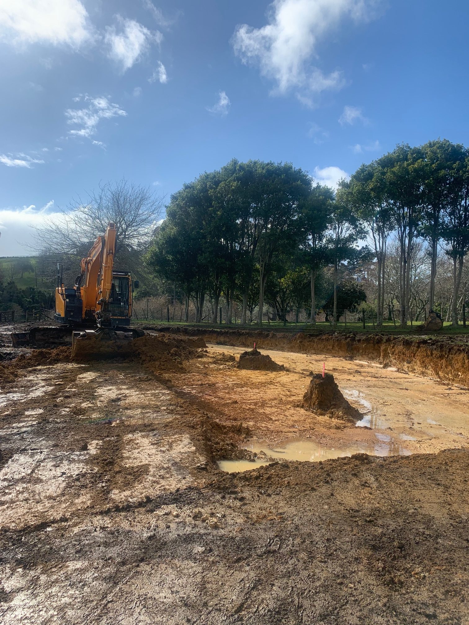 Excavation Auckland Earthworks Contractors Warkworth Hire Mini Digger